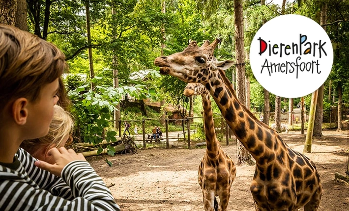 DierenPark Amersfoort