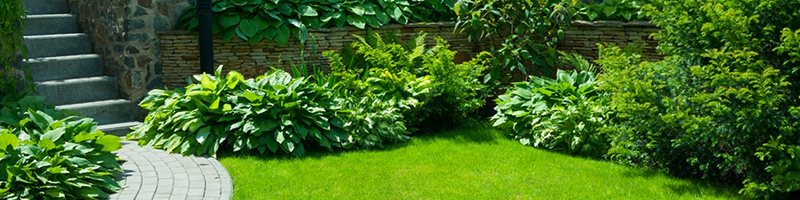 Maak je tuin in orde- lenteklaar maken