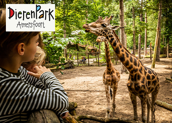 DierenPark Amersfoort